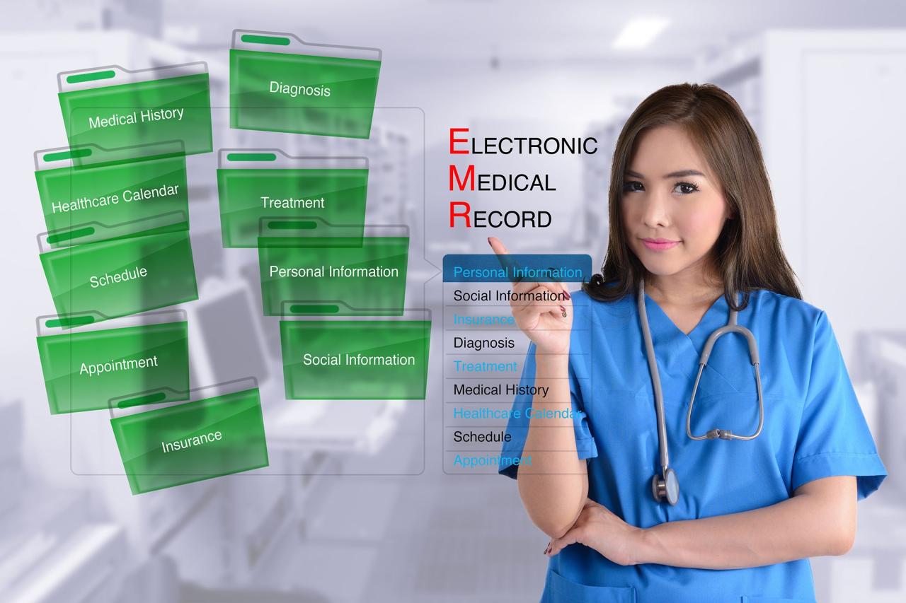 electronic health records programs