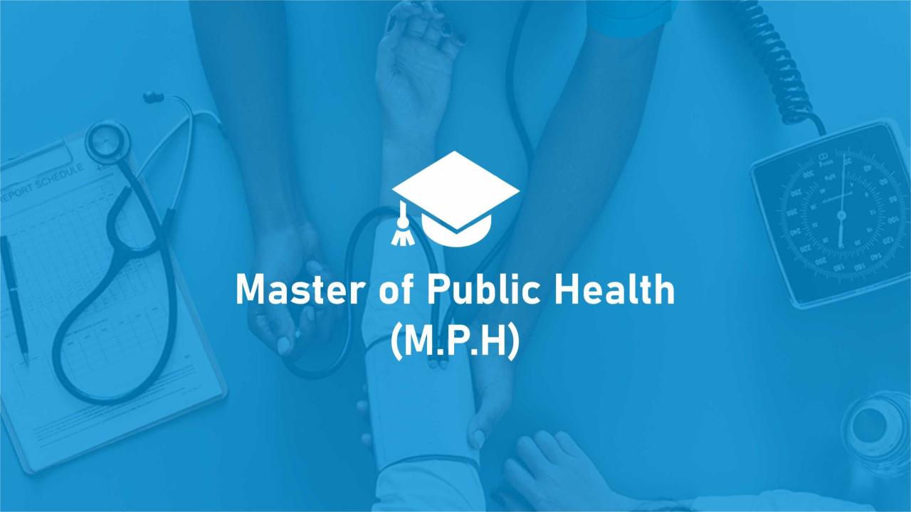 mph masters in public health terbaru