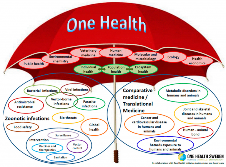 one share health terbaru