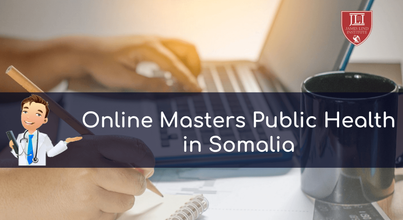 masters in public health online