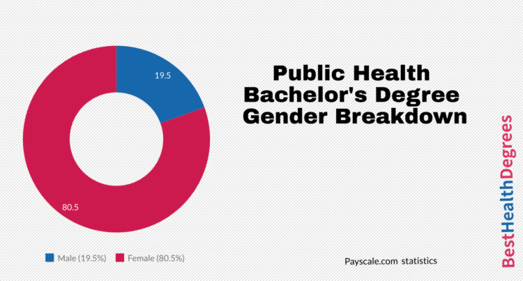 bachelor degree of public health terbaru