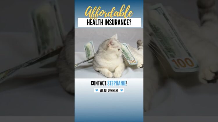 insurance cat health pet