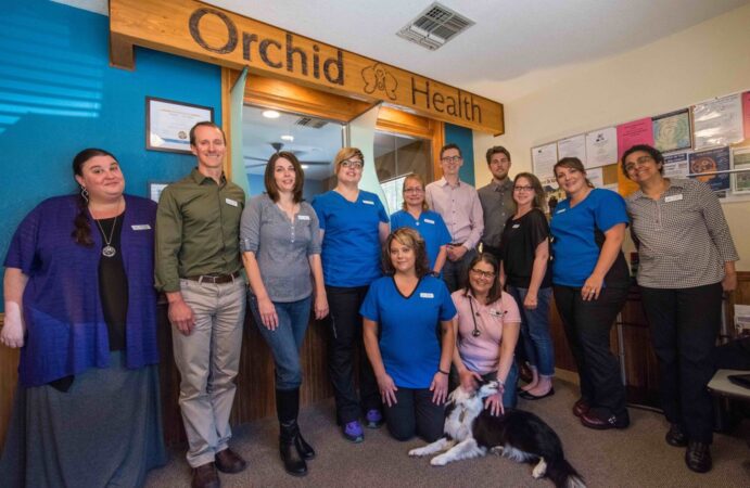 our model health orchid exceptional patient experience