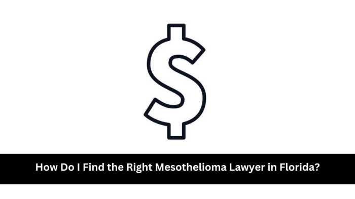 Florida mesothelioma attorney