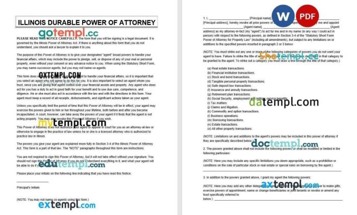 Financial power of attorney illinois pdf