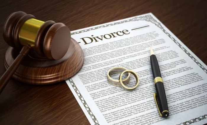 Divorce law lawyers los