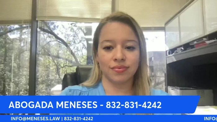 Meneses law immigration attorney