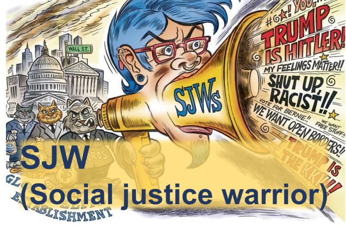 Justice social warrior