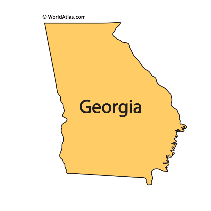 Georgia durable power of attorney form 2022 pdf