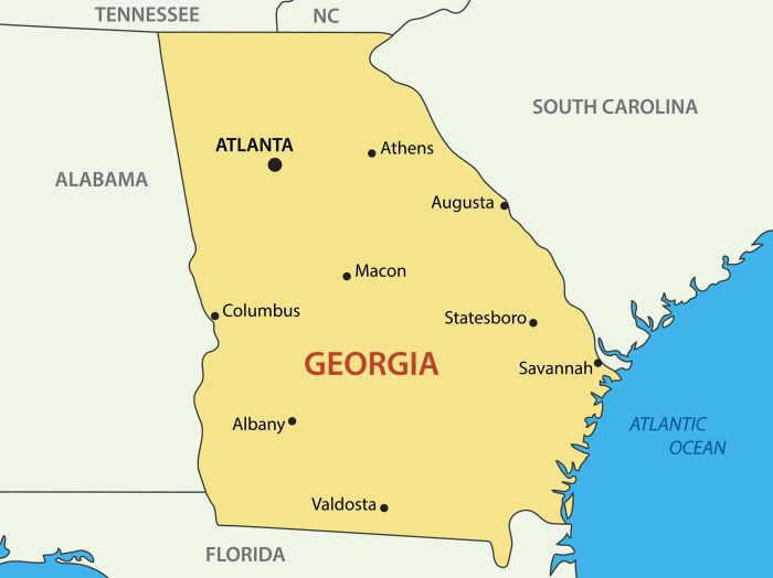 Georgia durable power of attorney form 2022 pdf