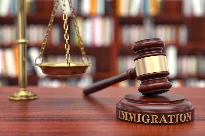 Immigration attorney job