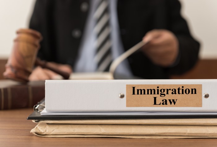 Immigration attorney job