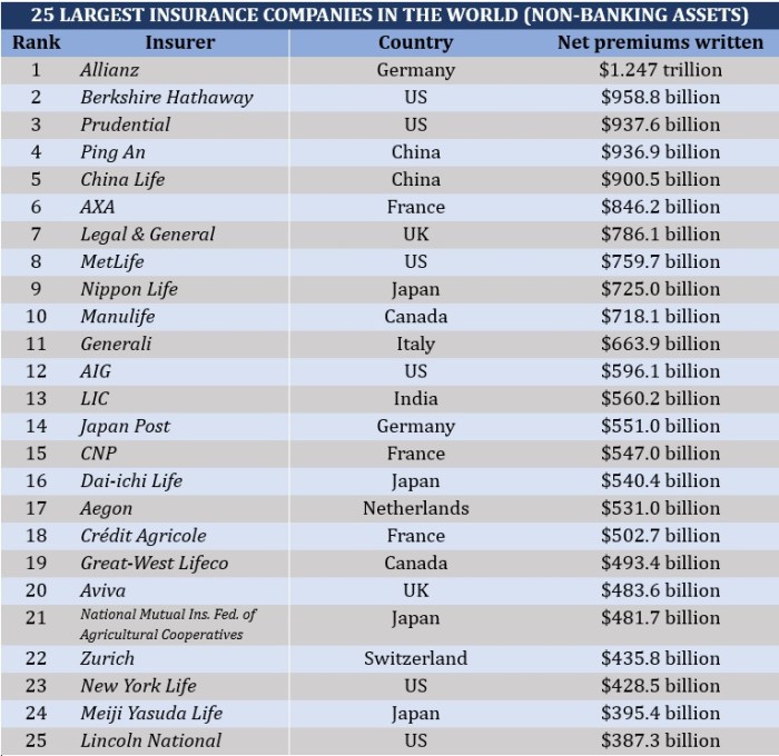 What is the largest insurance company