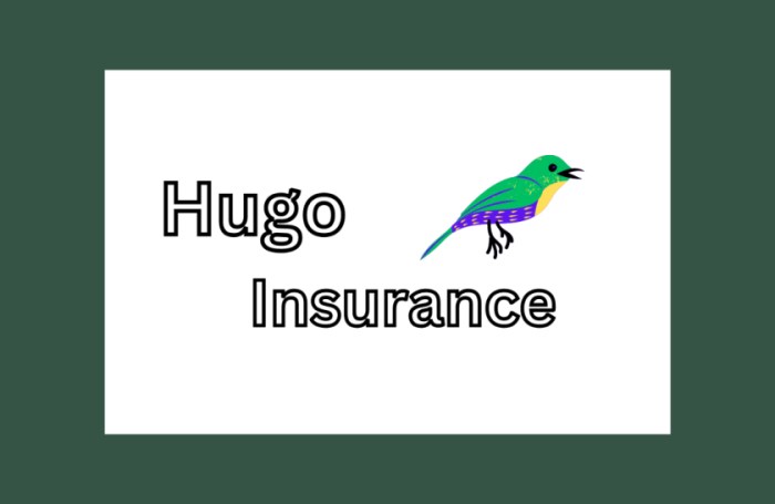 Hugo insurance life ca