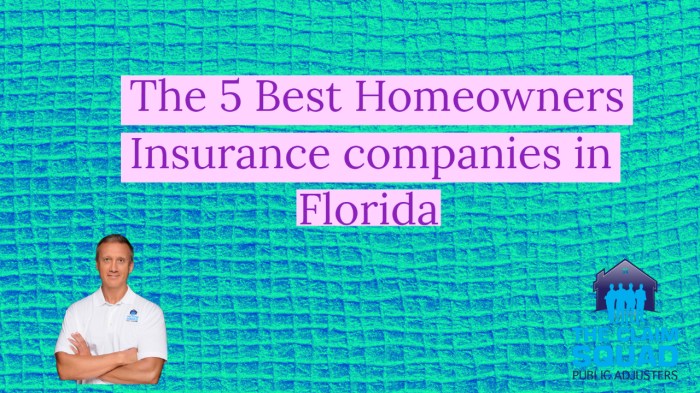 How many home insurance companies are in florida