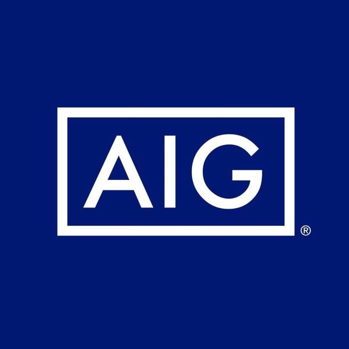 A.i.g insurance company