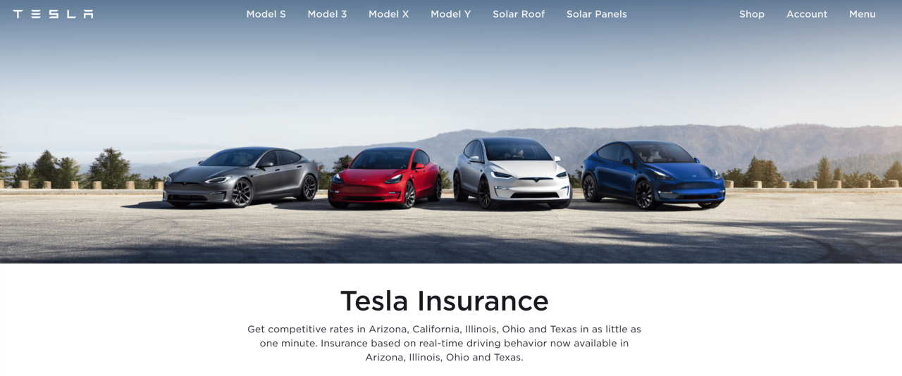 Tesla car insurance florida