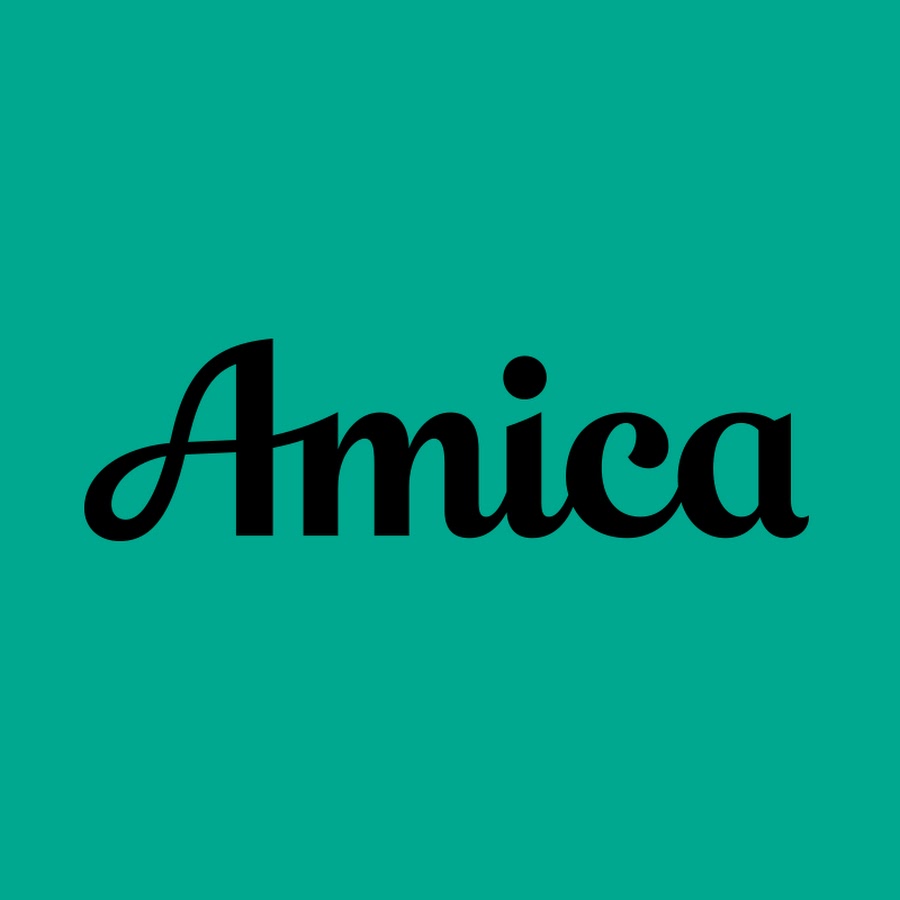 Amica car insurance florida