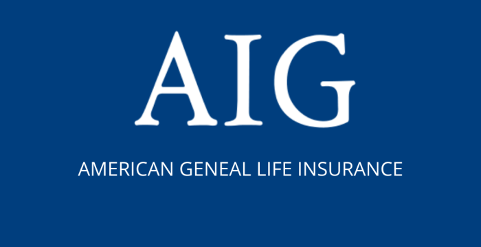 A.i.g insurance company