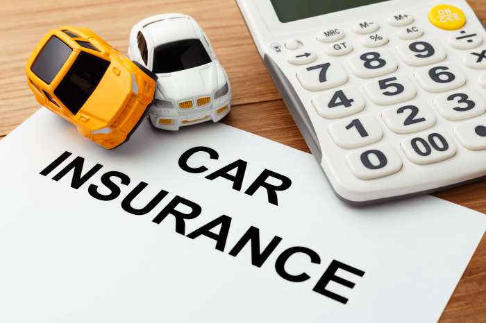 Can you insure a car you don't own in california