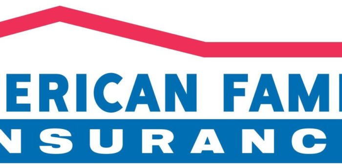 Is american family insurance a good company