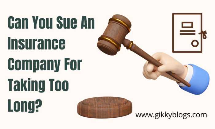 Can you sue insurance company for taking too long