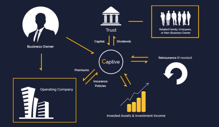 Captive business impressive joining captives brief overview dummies understanding strategydriven manage pluralist talisman casualty conceptual considering benefitspro interrupted