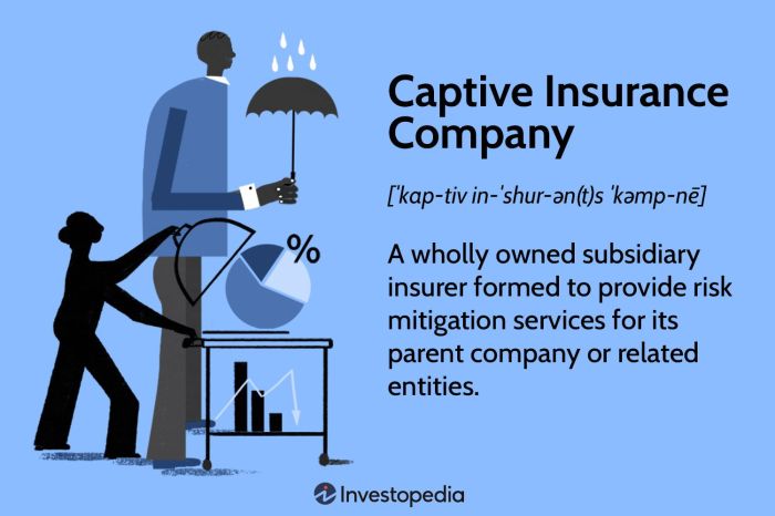 What is captive insurance company