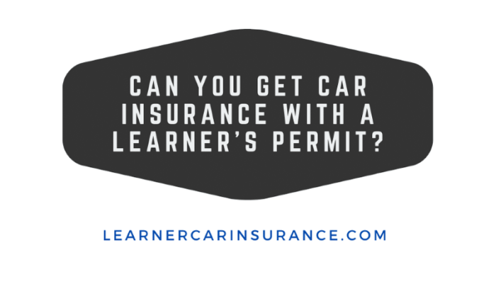 Can you get car insurance with a permit in maryland