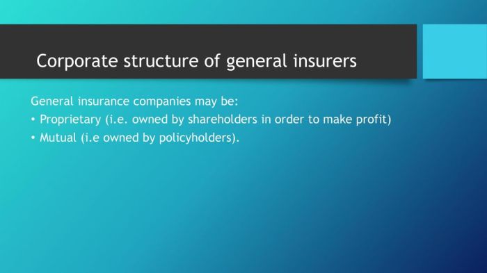 Who owns the general insurance company