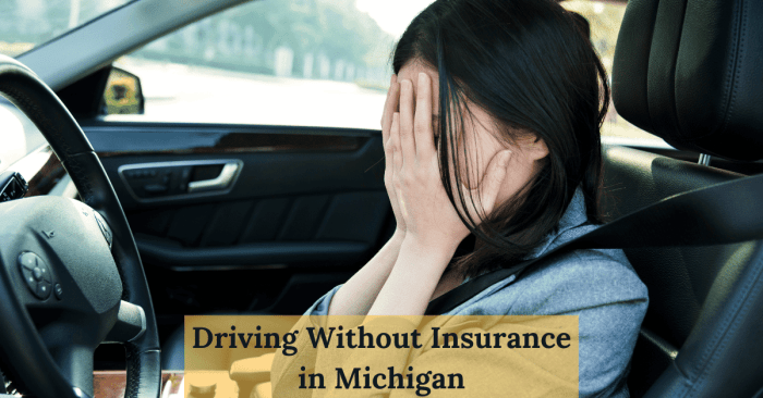 Can you drive without car insurance in florida