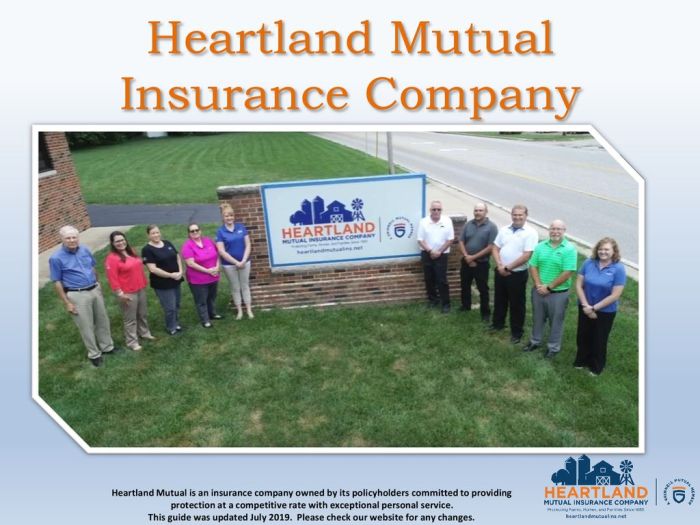 What is a mutual life insurance company