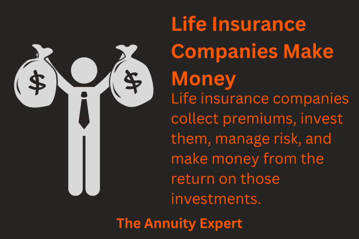 How are insurance companies valued