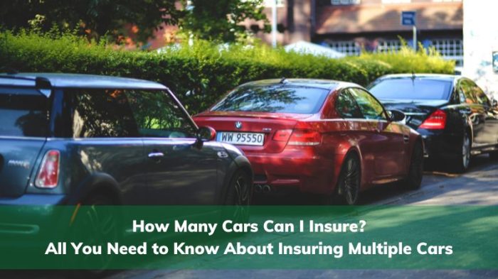 How many cars can i insure in my name