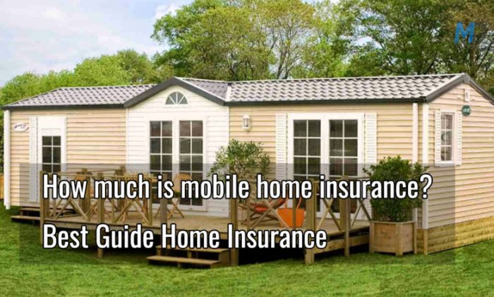 What insurance companies insure mobile homes