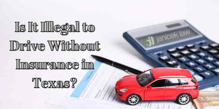 Insurance crash florida without car happens if