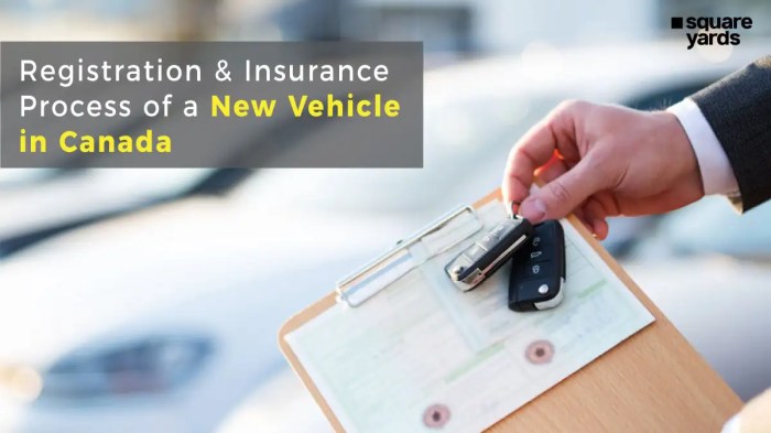 Can you insure a canadian car in the us