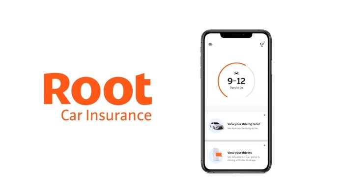 Is root insurance a good insurance company