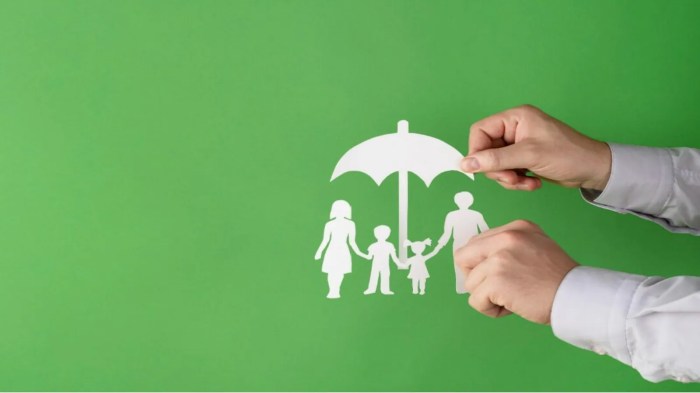 How to open a life insurance company