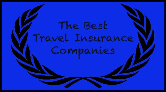 What are the best travel insurance companies