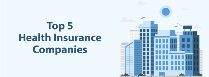 Who are the top 5 health insurance companies