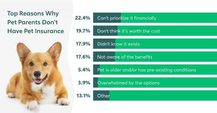 Who are the best pet insurance companies