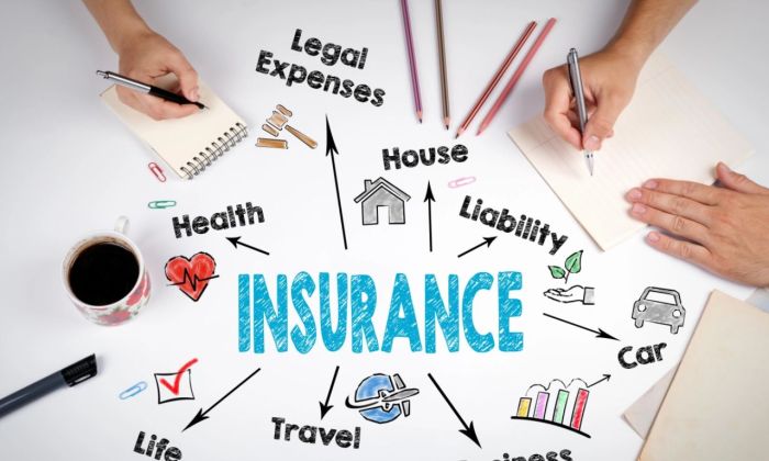 What is an insurance company