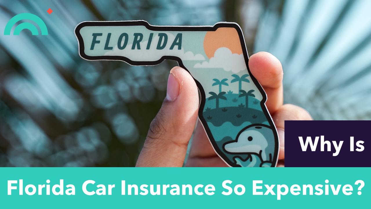 Why is florida car insurance so high