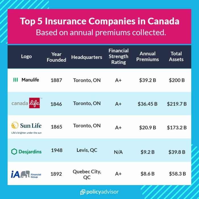 Insurance company ranking ratings car knowledge choices better rankings name