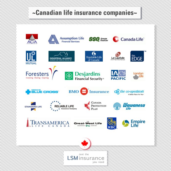 Car insurance companies in canada