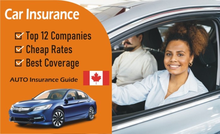 Insurance ontario auto