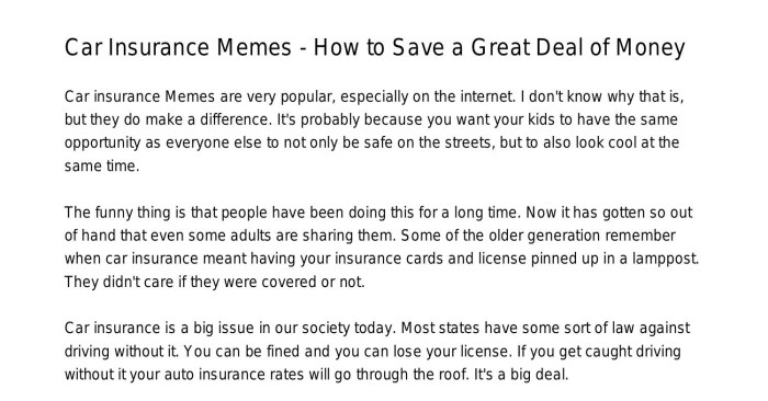 Can i interest you in car insurance meme