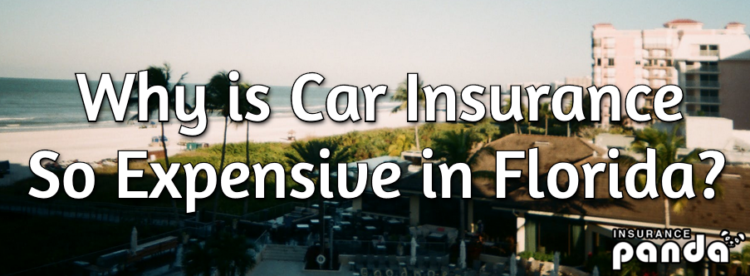 Insurance florida cheap requirements minimum auto