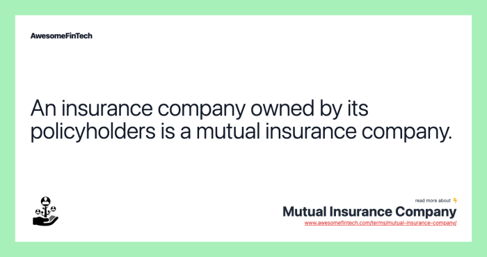 What is a mutual insurance company